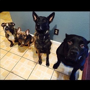 Meet your Posher, George